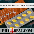 Power Spring Liquid 42